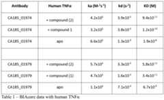 Figure imgf000062_0001