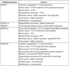 Figure imgf000051_0001