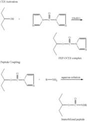 Figure US06428579-20020806-C00005