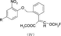 Figure A2005100602710003C1