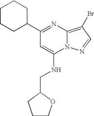 Figure US07119200-20061010-C01387