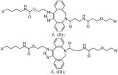 Figure BDA0003590456550001242