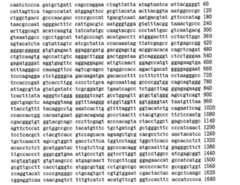 Figure 109103078-A0101-12-0128-114