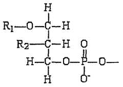Figure imgf000092_0001