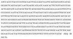 Figure imgf000048_0001