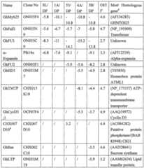 Figure imgf000046_0001