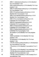 Figure imgf000022_0001