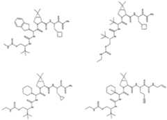 Figure imgf000252_0001