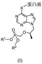 Figure 978756DEST_PATH_IMAGE001