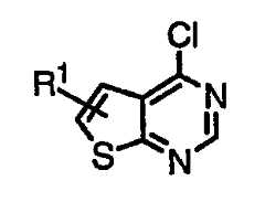 Figure 112007011503269-PCT00148