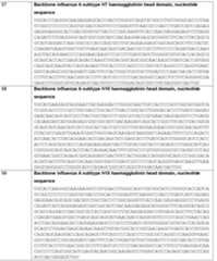 Figure imgf000094_0001