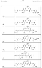 Figure imgf000102_0001