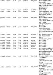 Figure BPA00001280678303371