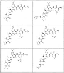 Figure imgf000219_0001