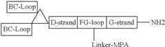 Figure US08907053-20141209-C00102