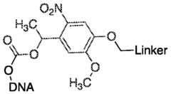 Figure imgf000037_0002