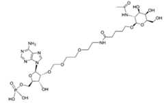 Figure 112117718-A0304-12-0014-4