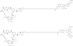 Figure US12048749-20240730-C00354