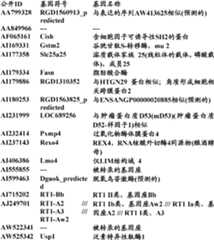 Figure BDA0000057170160001932