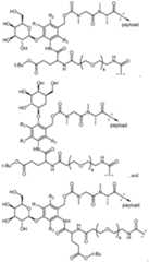Figure imgf000176_0001