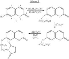 Figure US06306587-20011023-C00007