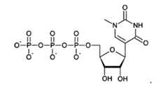 Figure imgf000080_0004