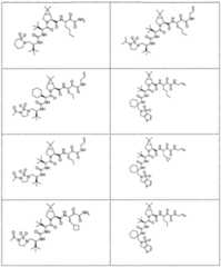 Figure imgf000271_0001