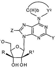 Figure imgf000170_0001
