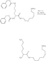 Figure US07906485-20110315-C00075