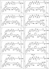 Figure BDA0003285627320001151