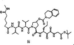 Figure G2009101493490D01892