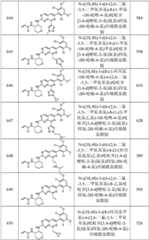 Figure GPA0000263212130002401