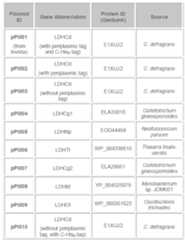 Figure imgf000089_0001