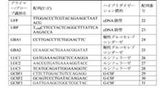 Figure 2023175888000012