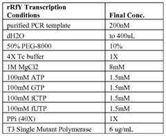 Figure imgf000027_0003