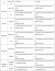 Figure BDA0001672244250000071