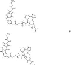 Figure BDA0002268634580003261