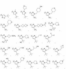 Figure 2023525047000151