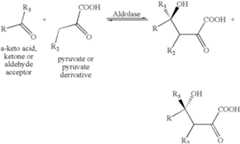 Figure US08546118-20131001-C00006