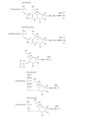 Figure 112009026250918-PCT00054