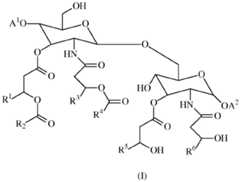 Figure BDA0000618428130000081