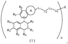 Figure PCTCN2021139314-appb-100001