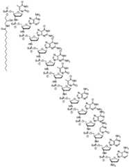 Figure BDA0001401376620000551