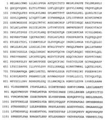 Figure 104119613-A0202-12-0091-131