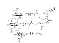 Figure imgf000114_0003