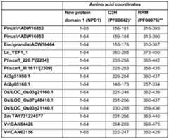 Figure imgf000121_0002