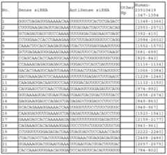 Figure 112011031303859-pct00169