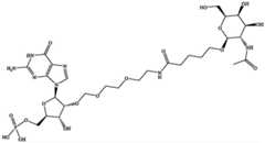 Figure BDA0003702321910000631