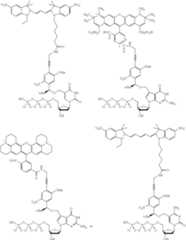 Figure US08889860-20141118-C00022