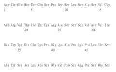 Figure 105135184-A0305-02-0186-105